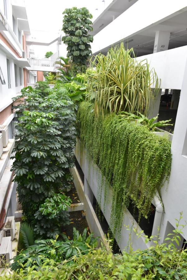 My Daily Homestay - Miri Times Square Dış mekan fotoğraf